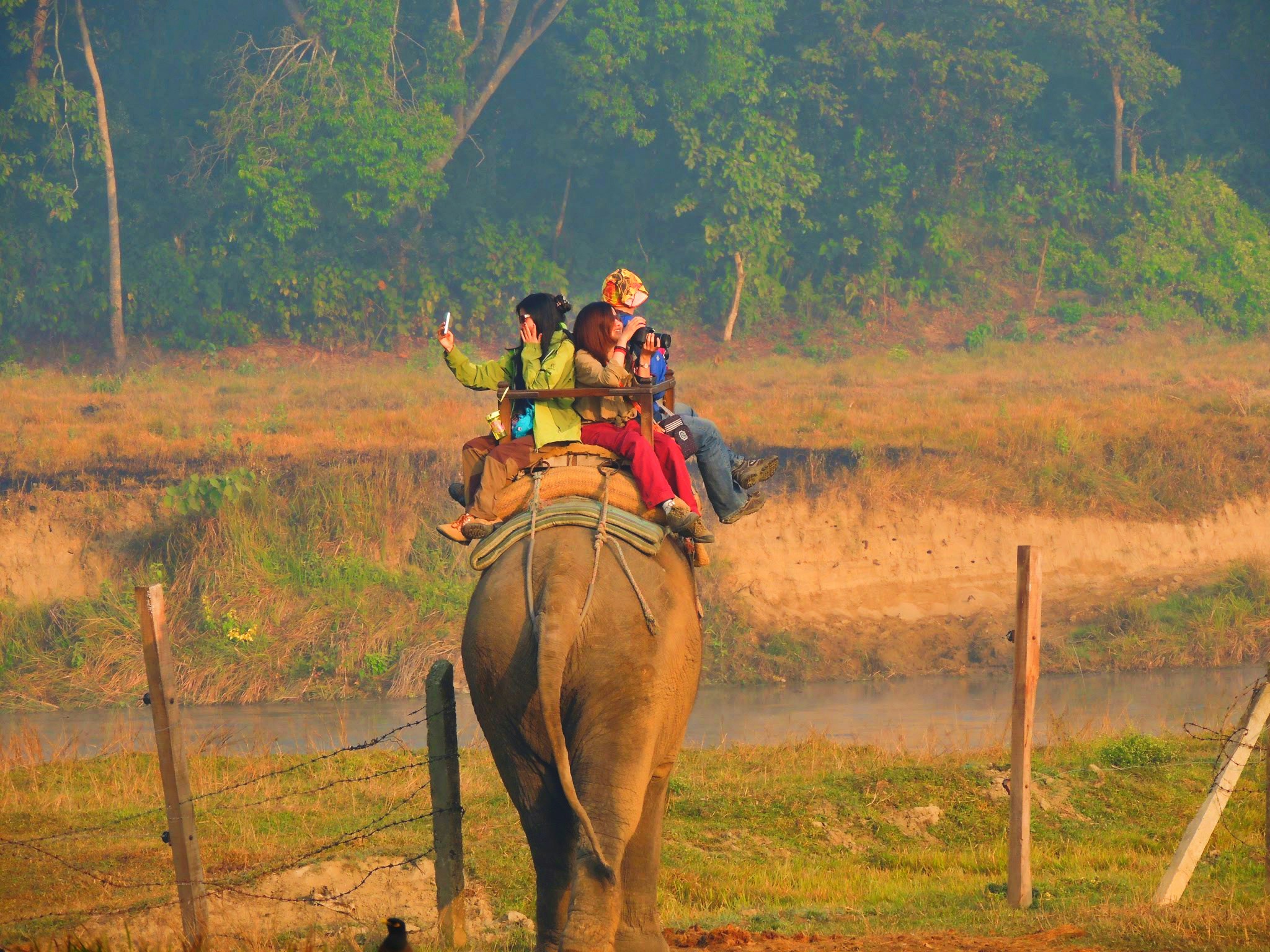 Chitwan Jungle Safari- 4 Nights, 5 Days